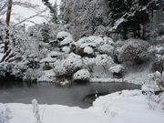 法泉寺の冬の風景