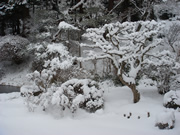 法泉寺の冬の風景